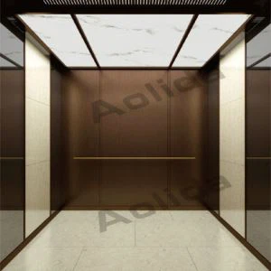 Коричнева лінія з нержавіючої сталі Пасажирський ліфт